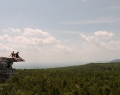 Gunks