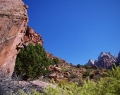 usa2008-2775.jpg